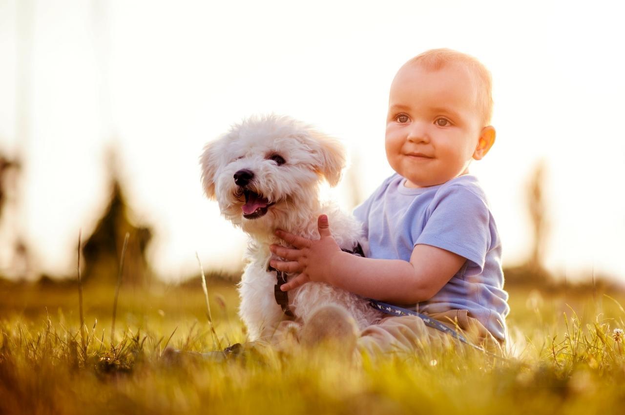 Faire cohabiter votre bébé et vos animaux : que faut-il savoir ?