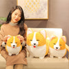 Peluche adorable chien Corgi pour enfant - Mon Petit Ange