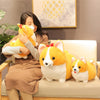 Peluche adorable chien Corgi pour enfant - Mon Petit Ange