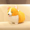 Peluche adorable chien Corgi pour enfant - Mon Petit Ange