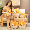 Peluche adorable chien Corgi pour enfant - Mon Petit Ange